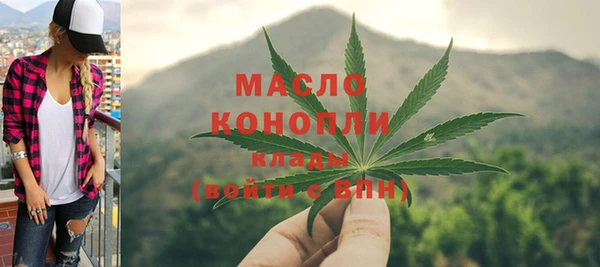 гидра Краснослободск