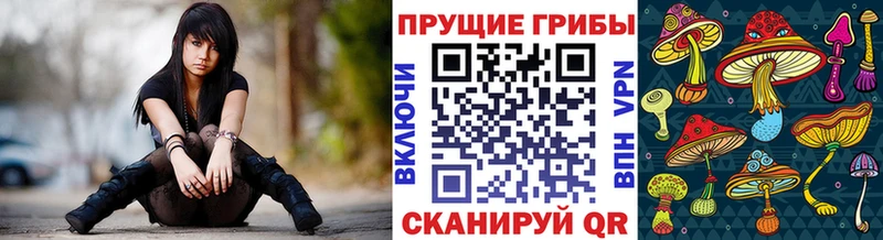 Галлюциногенные грибы Psilocybe  Купить закладки  Усмань 